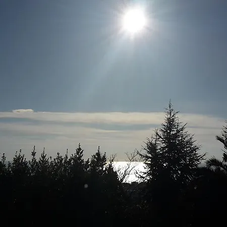 Al Profumo D'ulivo * Tortoreto