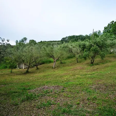 Apartment Al Profumo D'ulivo Tortoreto