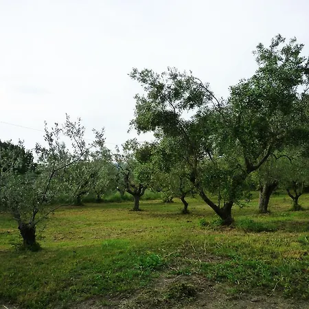 Apartamento Al Profumo D'ulivo *