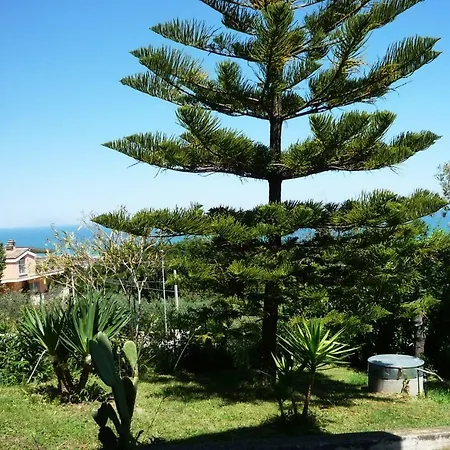 Al Profumo D'ulivo