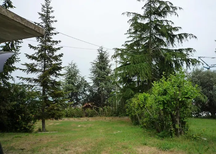 Al Profumo D'ulivo Tortoreto