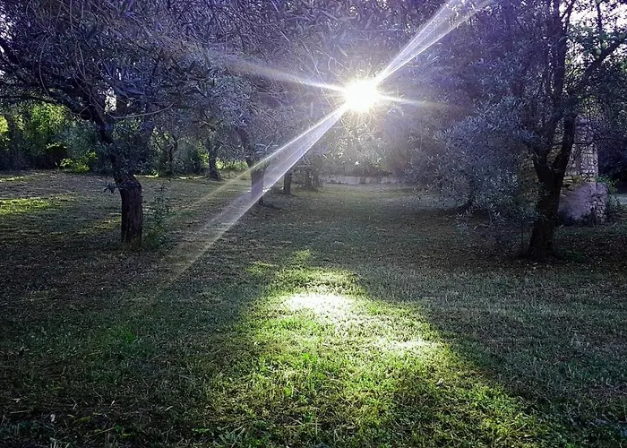 Al Profumo D'ulivo 公寓