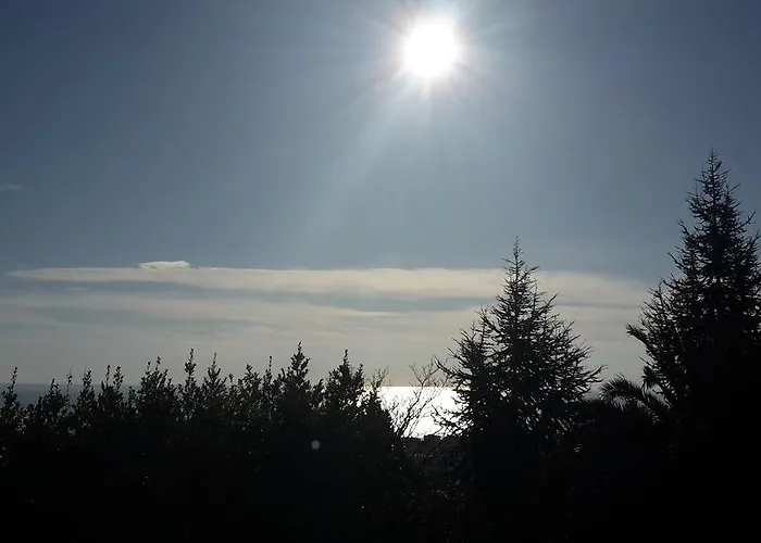 Al Profumo D'ulivo * Tortoreto