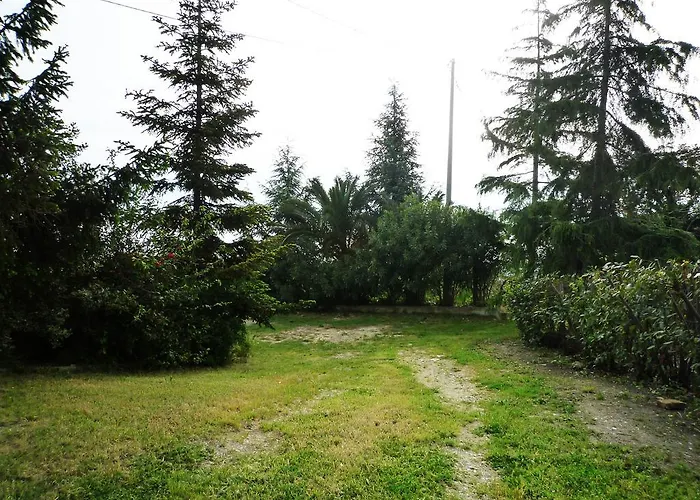 公寓 Al Profumo D'ulivo 托尔托雷托