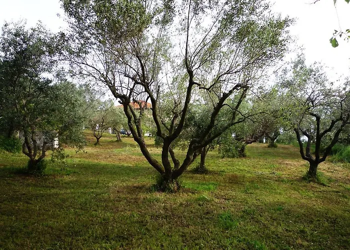 דירה Al Profumo D'ulivo