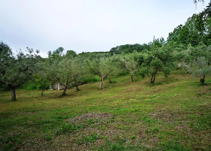 דירה Al Profumo D'ulivo Tortoreto