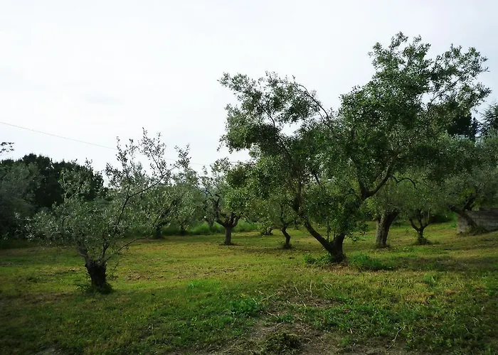 公寓 Al Profumo D'ulivo *